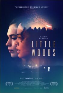 دانلود فیلم Little Woods 201822292-455168747