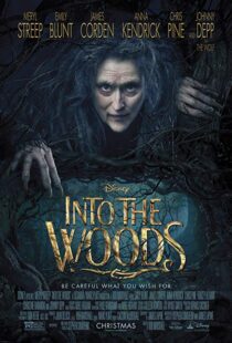 دانلود فیلم Into the Woods 20143675-1218728847