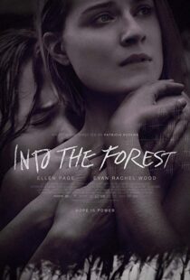 دانلود فیلم Into the Forest 20159776-329300476