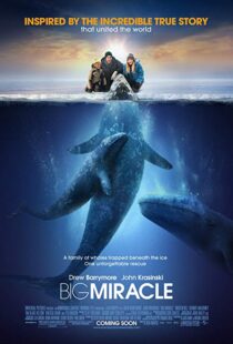 دانلود فیلم Big Miracle 201218814-53422230