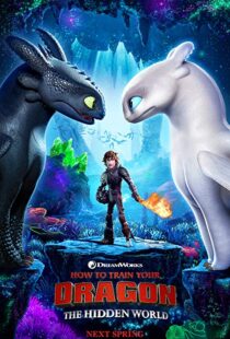 دانلود انیمه How to Train Your Dragon: The Hidden World 201919855-340549168