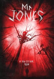دانلود فیلم Mr. Jones 201337611-1751350870
