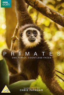 دانلود مستند Primates77865-465964391