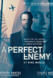 دانلود فیلم A Perfect Enemy 202082295-1665033628