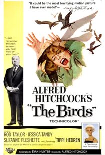 دانلود فیلم The Birds 196382372-494280141