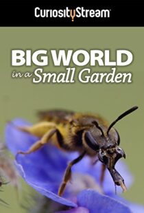 دانلود مستند Big World in a Small Garden 2016102965-1907136479