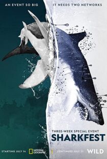 دانلود مستند Man vs. Shark 2019104475-1853537439