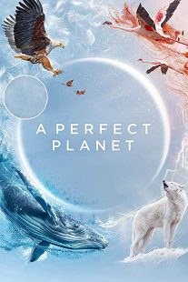 دانلود مستند A Perfect Planet231098-948034404