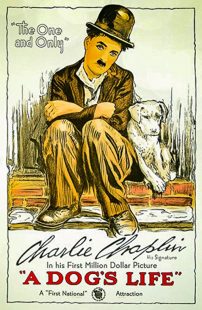 دانلود فیلم A Dog’s Life 1918270674-1250528425