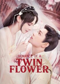 دانلود سریال Romance of a Twin Flower379211-168351843