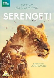 دانلود سریال Serengeti378761-1485445393