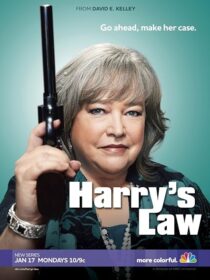 دانلود سریال Harry’s Law393952-1613320807