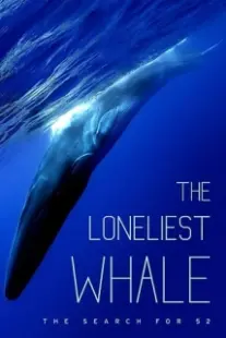 دانلود فیلم The Loneliest Whale: The Search for 52 2021403098-1541929161