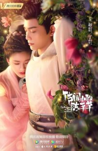 دانلود سریال The Romance of Tiger and Rose402001-2091734683
