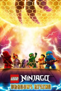 دانلود انیمیشن Ninjago: Dragons Rising402689-1679502489