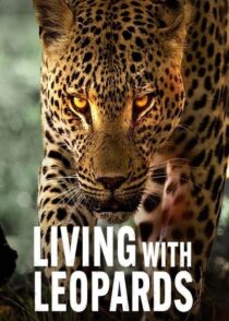 دانلود مستند Living with Leopards 2024400477-181830688