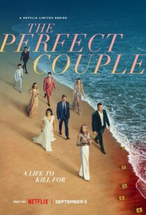 دانلود سریال The Perfect Couple409138-1250483540