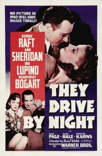 دانلود فیلم They Drive by Night 1940411221-703261323