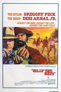 دانلود فیلم Billy Two Hats 1974411057-375706846