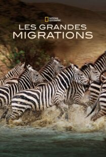 دانلود مستند Great Migrations417146-47949430