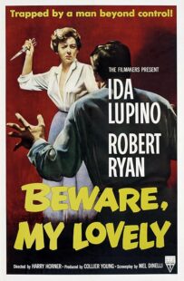 دانلود فیلم Beware, My Lovely 1952420627-350675561