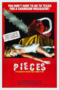 دانلود فیلم Pieces 1982422164-2067897556
