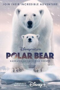دانلود مستند Polar Bear 2022422974-803481551