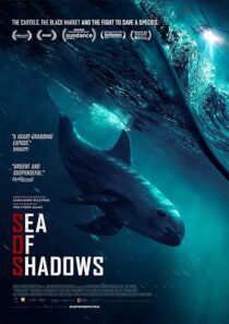 دانلود فیلم Sea of Shadows 2019427147-1441790496