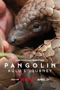 دانلود مستند Pangolin: Kulu’s Journey 2025430703-1431789807